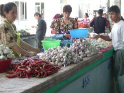 249-27 Market at Samarkand.jpg
